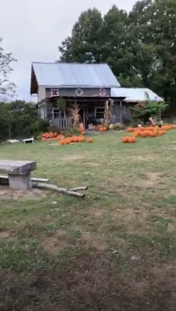 Lindsey’s Fall Festival community photo 4