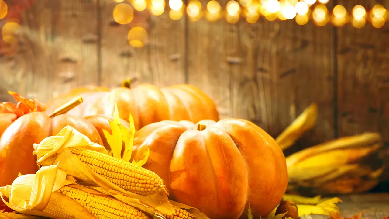 Lindsey’s Fall Festival Pumpkins and fall lights at Lindsey’s Fall Festival