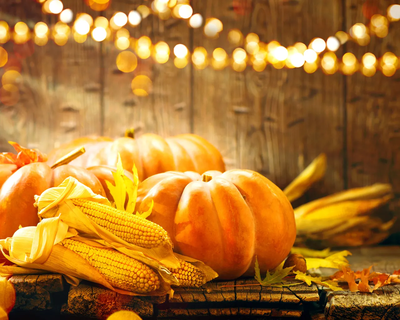Pumpkins and fall lights at Lindsey’s Fall Festival